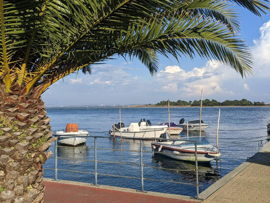 Am Ufer der Lagune, nur wenige Schritte von der Casa dos Jacintos